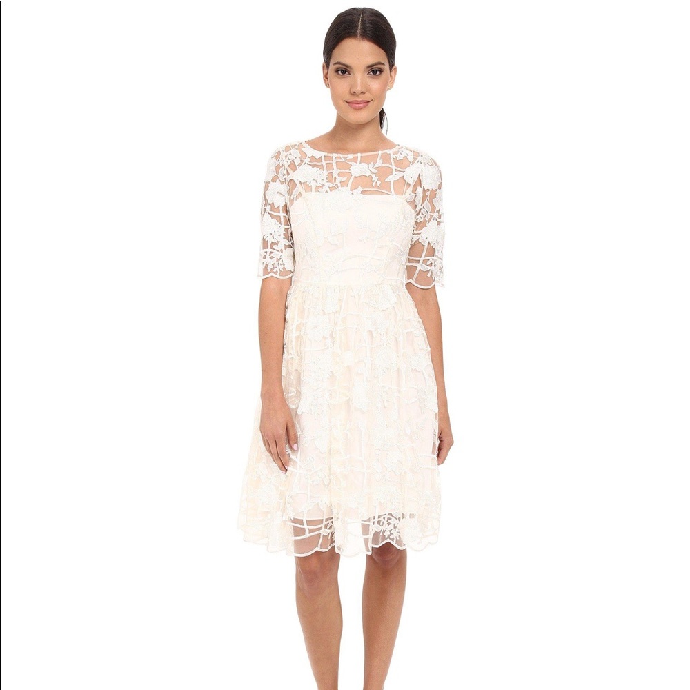 Adrianna Papell dress